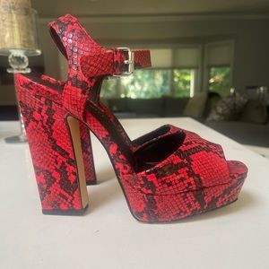 Madden girl brand new snake skin heels. Never worn